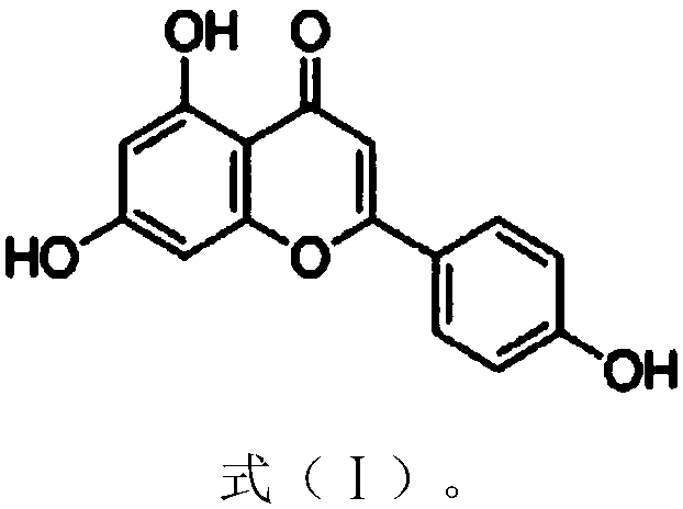 Application of apigenin to preparation of drugs capable of resisting Helicobacter pylori (Hp)