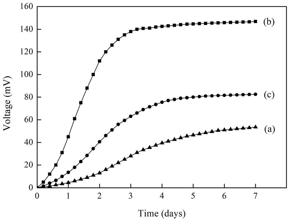 A kind of microbial electrode and preparation method thereof