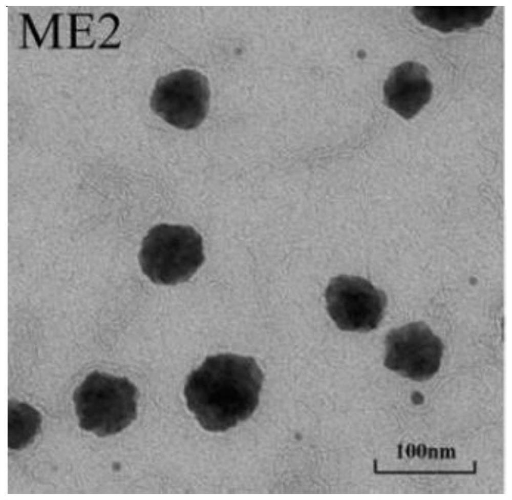 Traditional Chinese medicine compound acne-removing microemulsion gel as well as preparation method and application thereof