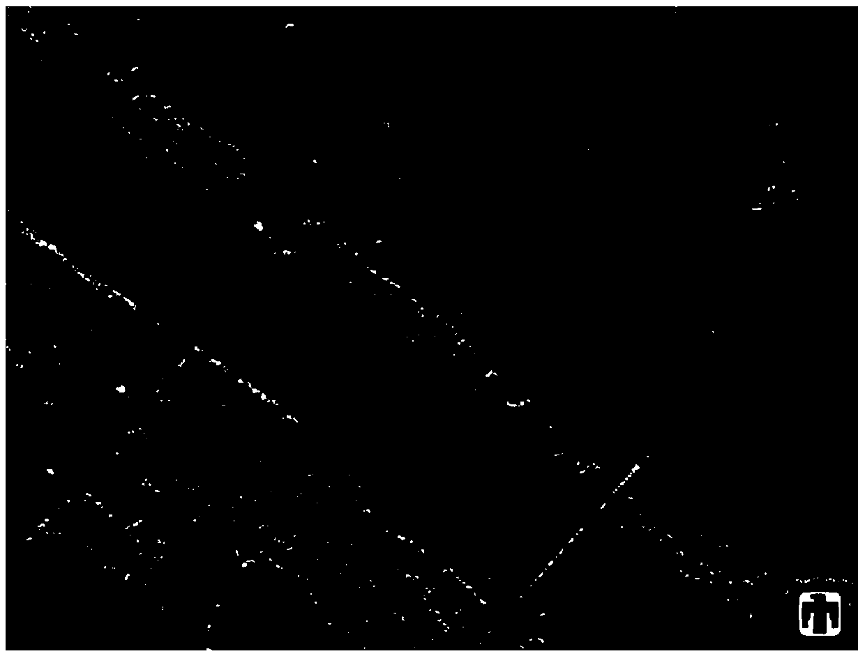 SAR image segmentation method based on ridgelet deconvolution network and sparse classification