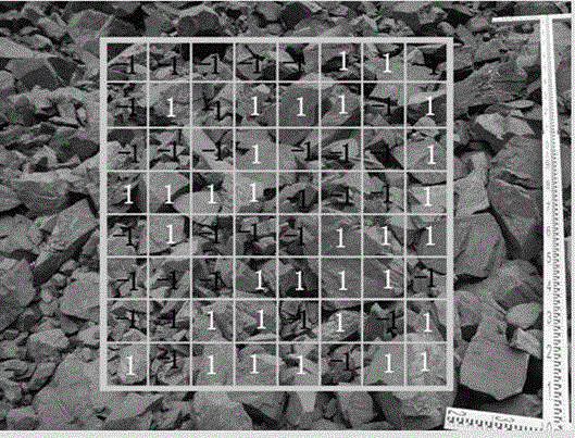 System evaluation method for block distribution after ore blasting