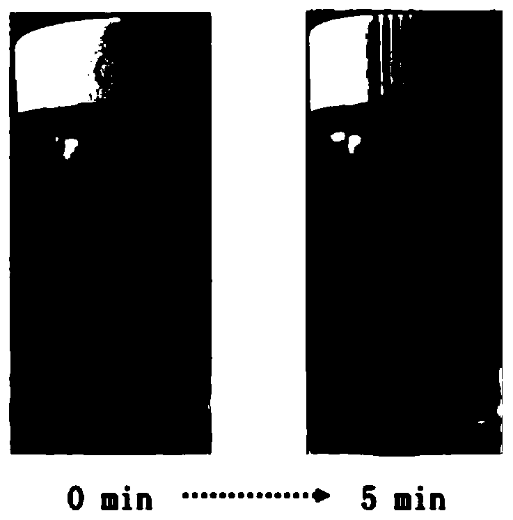 Ultrathin graphene and preparation method thereof