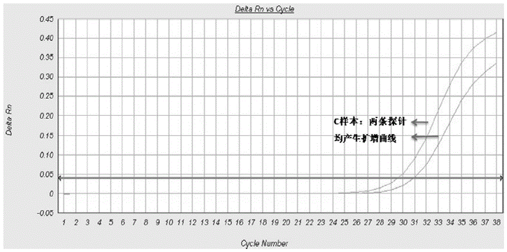 Method and oligonucleotide for detecting cyp2c19*2 mutation site