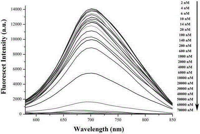 Copper ions detection method based on nano-cluster