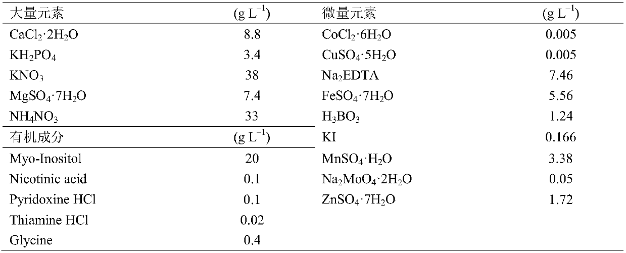 Method for increasing seedling survival rate of intergroup distant hybrid seeds of paeonia