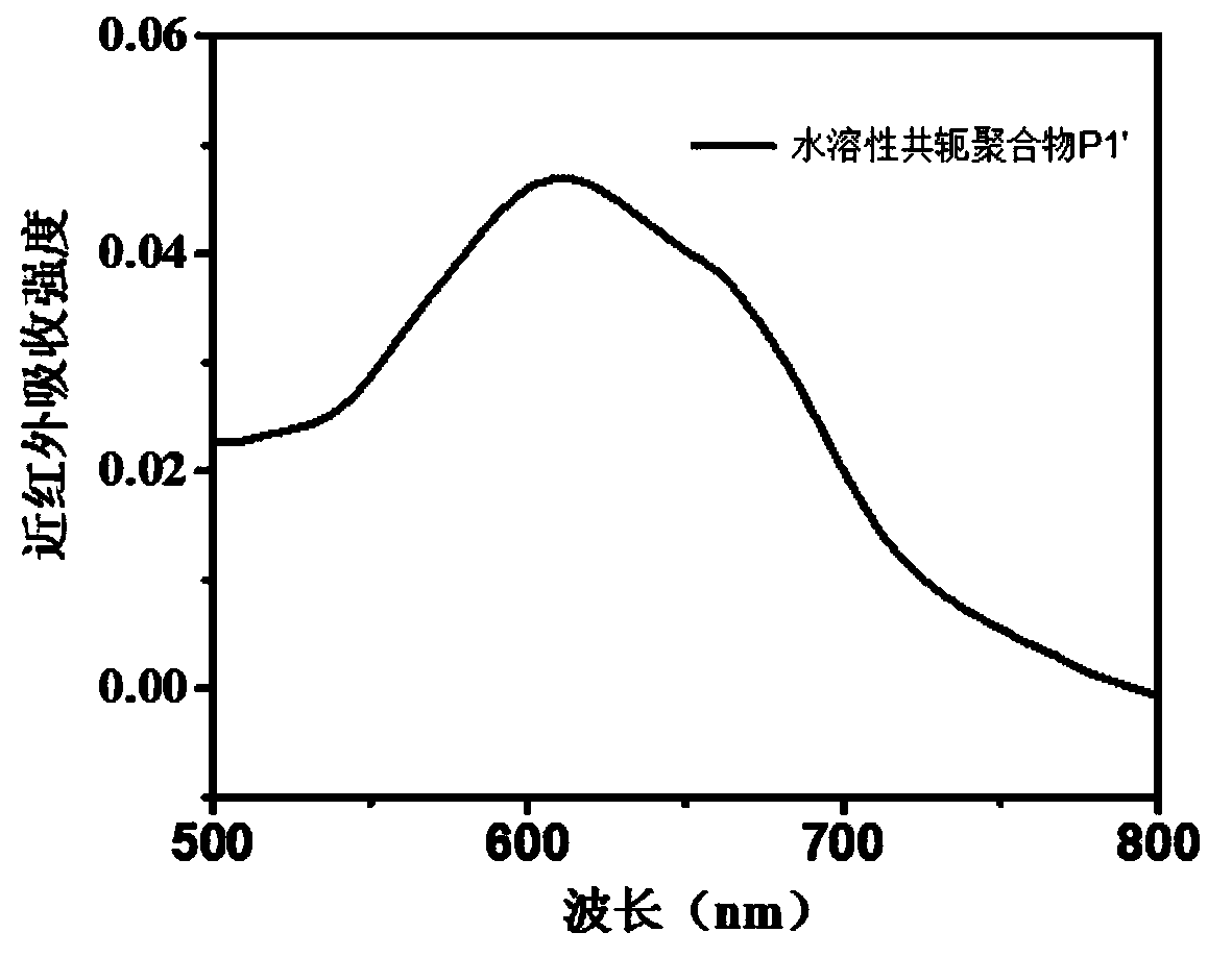 Near-infrared absorption water-soluble conjugated polymer phototherapy reagent and preparation and application thereof