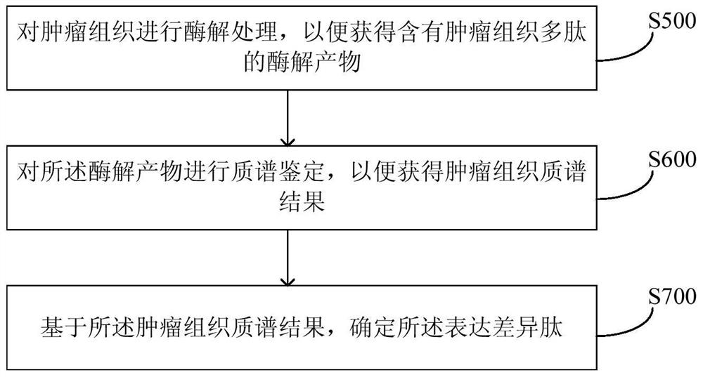 Method and equipment for predicting neoantigen epitopes