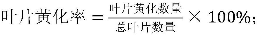 Comprehensive evaluation method for waterlogging tolerance of canna