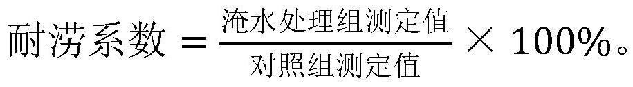 Comprehensive evaluation method for waterlogging tolerance of canna