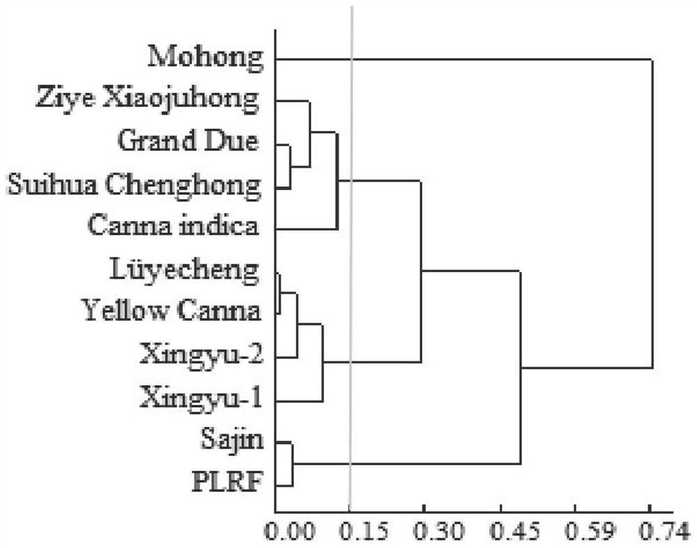 Comprehensive evaluation method for waterlogging tolerance of canna