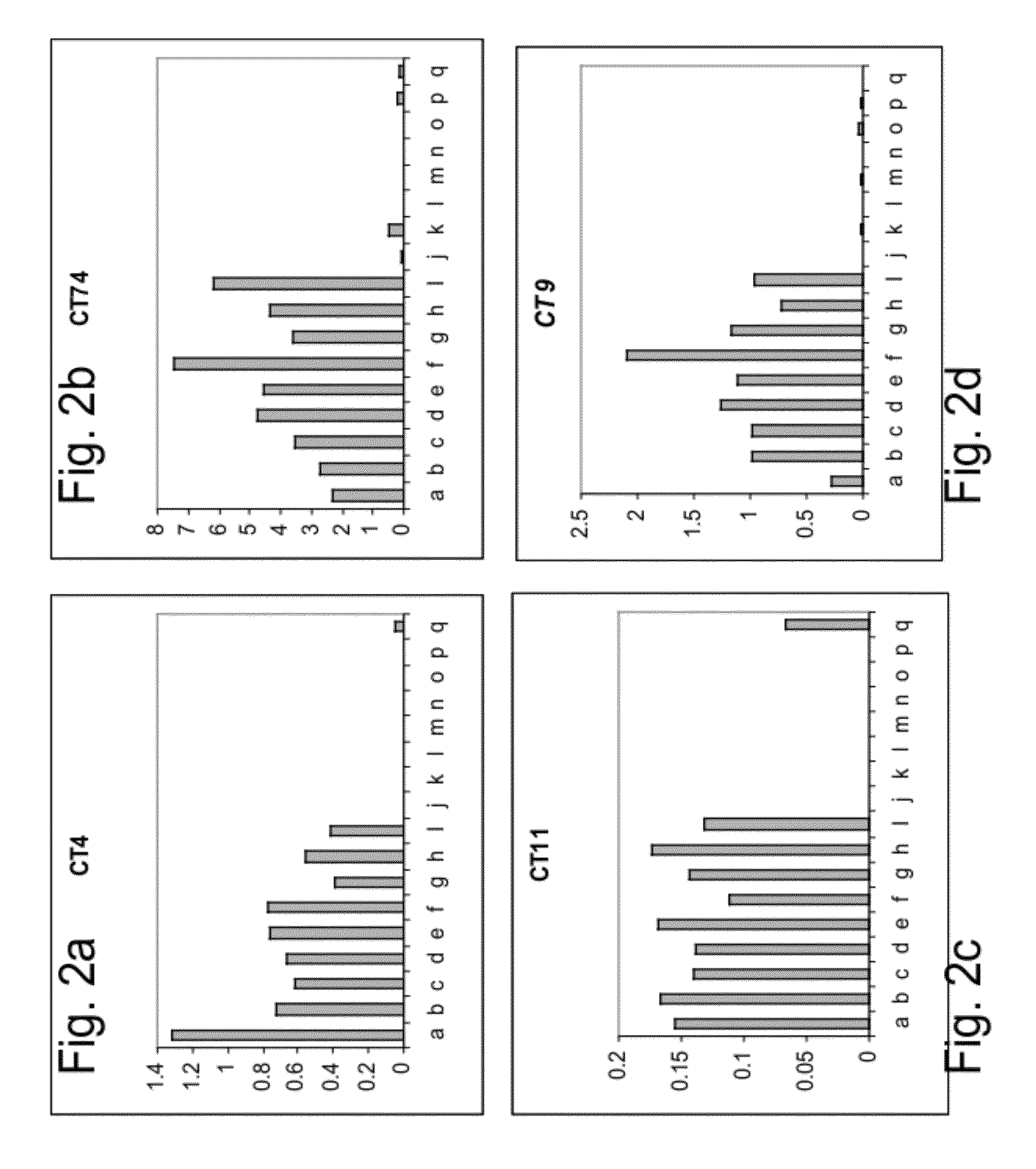 Polynucleotides and polypeptides involved in plant fiber development and methods of using same