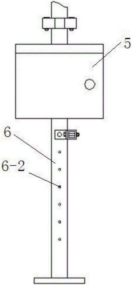 Lamplight pest inducing and killing device