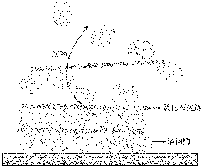 Antibacterial nanocomposite film material of graphene oxide and lysozyme, preparation method and application of antibacterial nanocomposite film material as antibacterial material