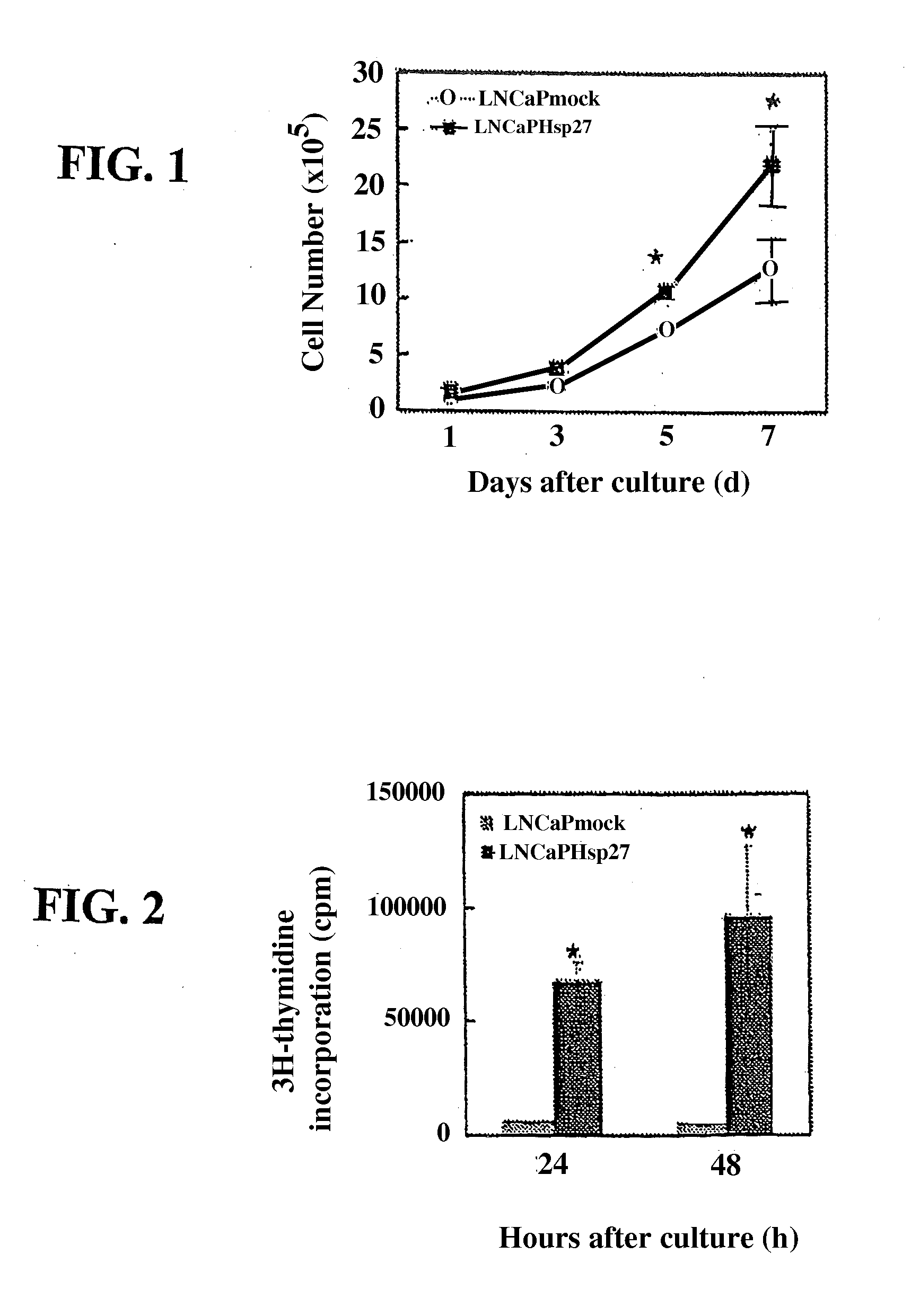 P27kip1 as a molecular marker for suitability and efficacy of treatment with hsp27 inhibitors