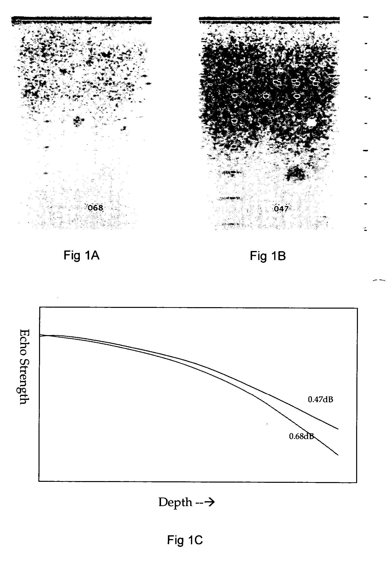 Programmable phase velocity in an ultrasonic imaging system