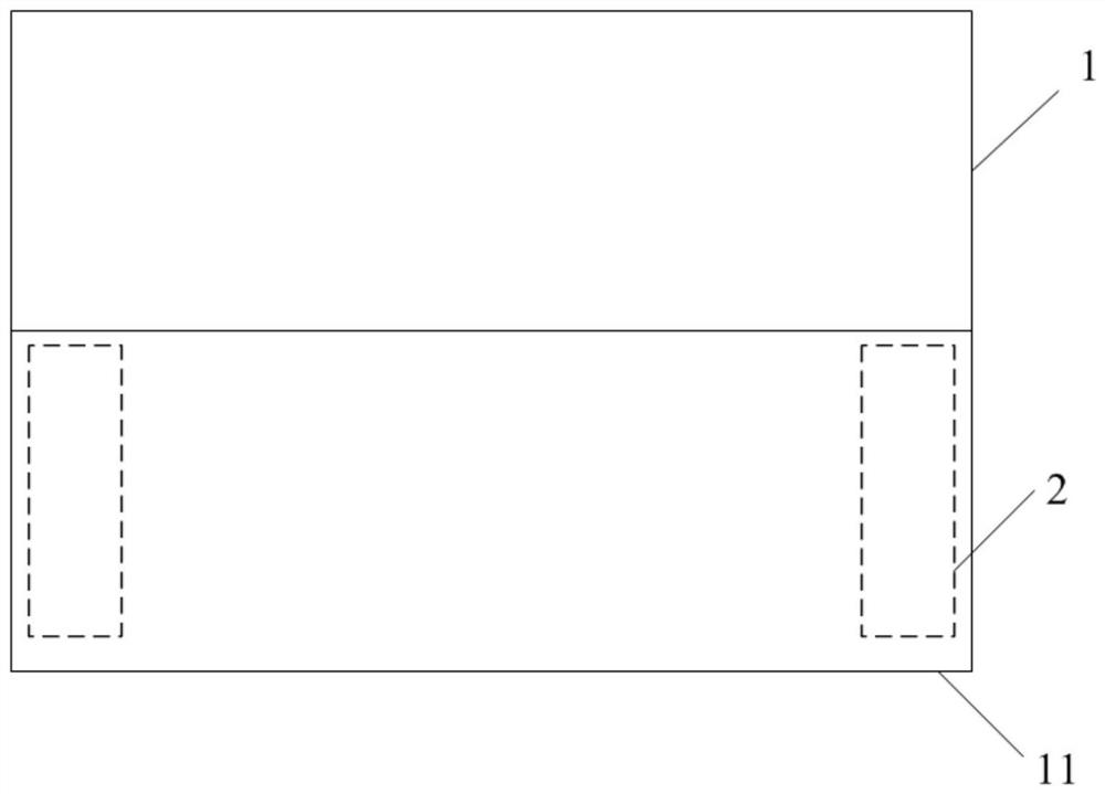 Tumor pathological image display device capable of projecting partitions