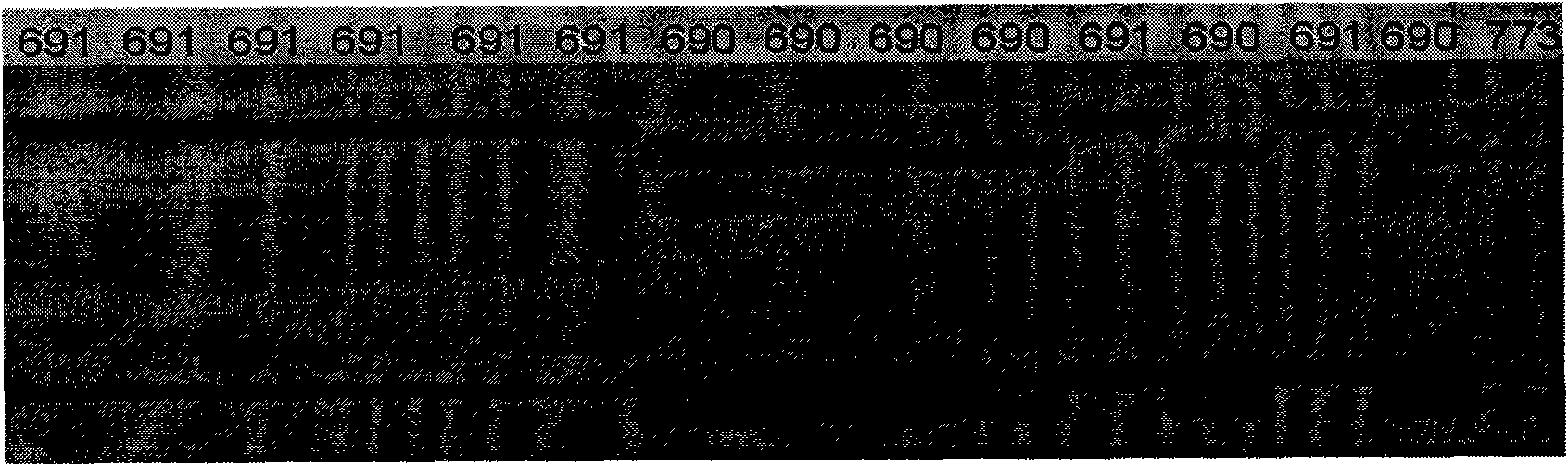 Chinese cabbage EST-SSR labeled primers and application thereof to identification of varieties