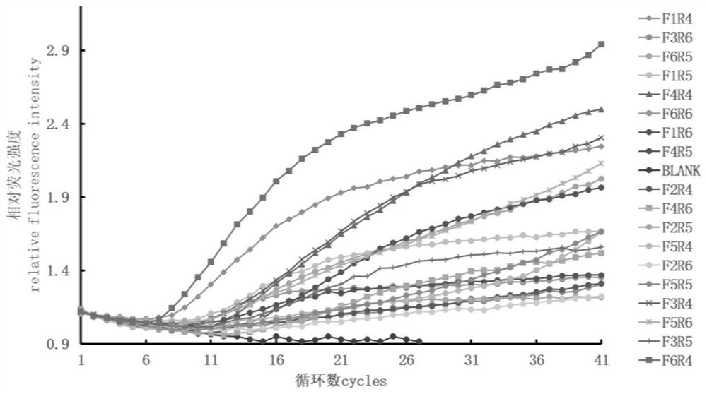 Specific detection target of BCC (Burkholderia cepacia complex) and constant-temperature rapid detection method