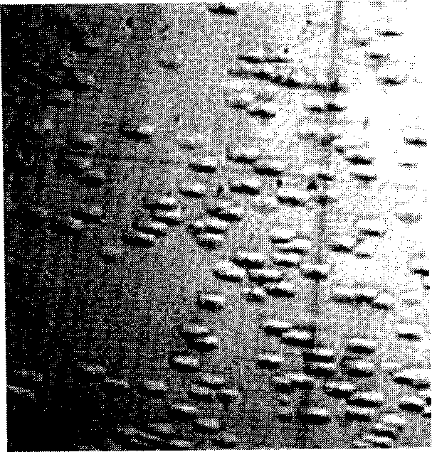 Vanadate for measuring dislocation density and etching process of doped monocrystal