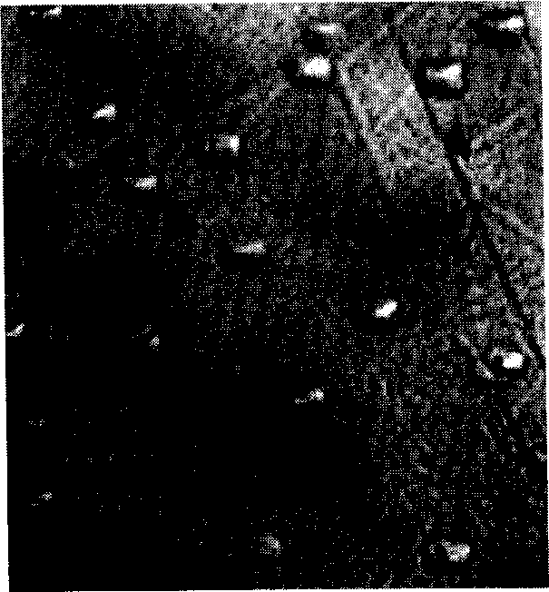 Vanadate for measuring dislocation density and etching process of doped monocrystal