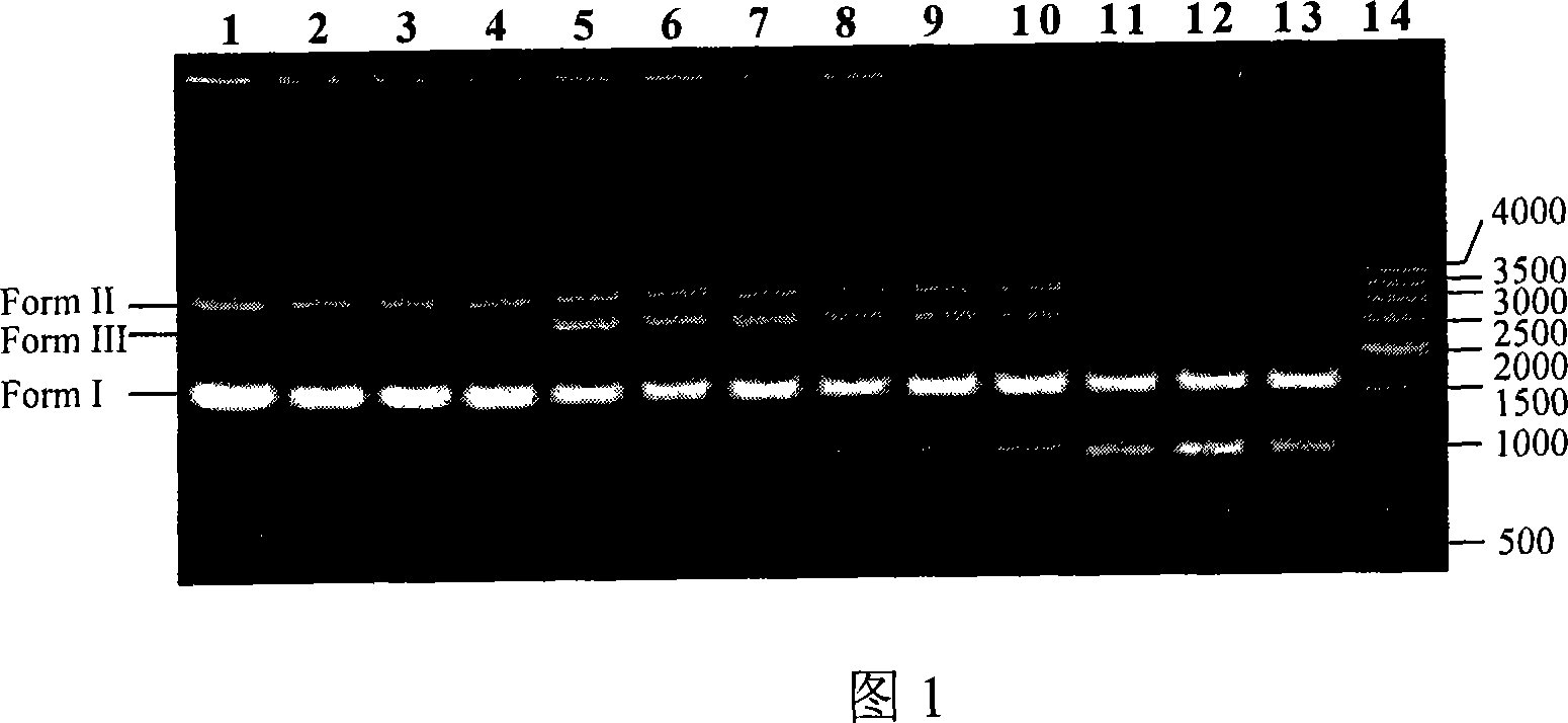 Polyamide bisbenzimidazole compound, preparation method and application thereof