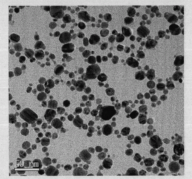 Preparation method of chitosan/polyvinyl alcohol sponge dressing containing nano-silver