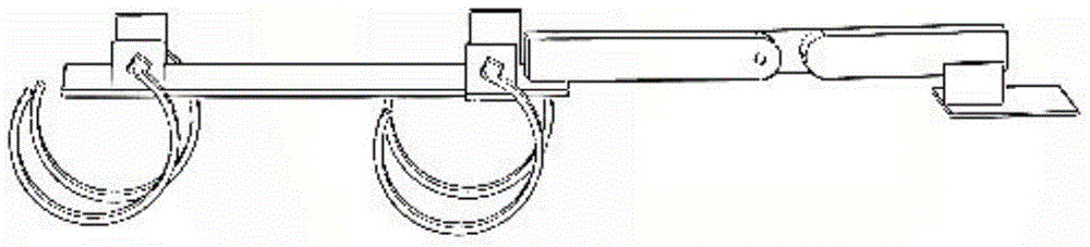 Lizard-like Desert Quadruped Robot