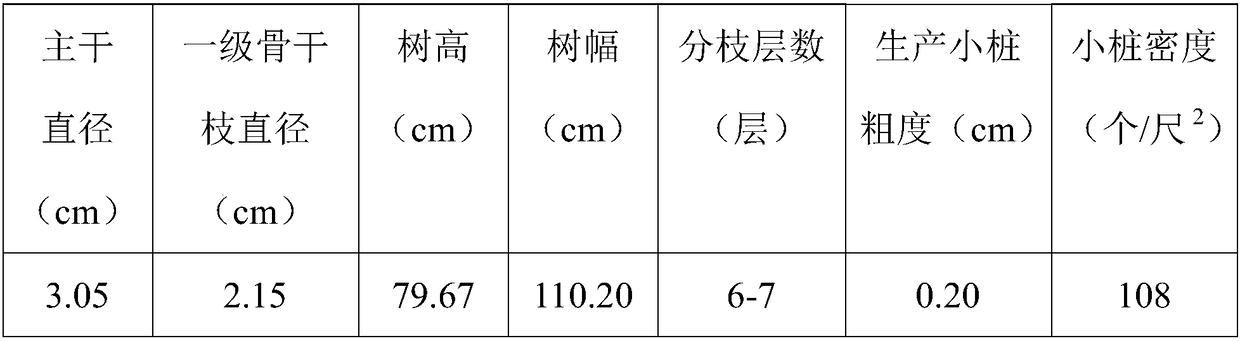 A slow-release long-acting organic-inorganic compound fertilizer