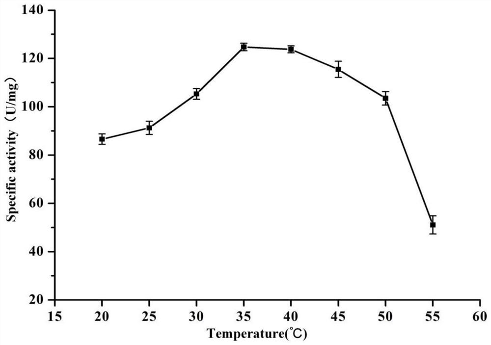 A kind of method that utilizes co-expression recombinant strain to transform and produce α-ketoglutarate