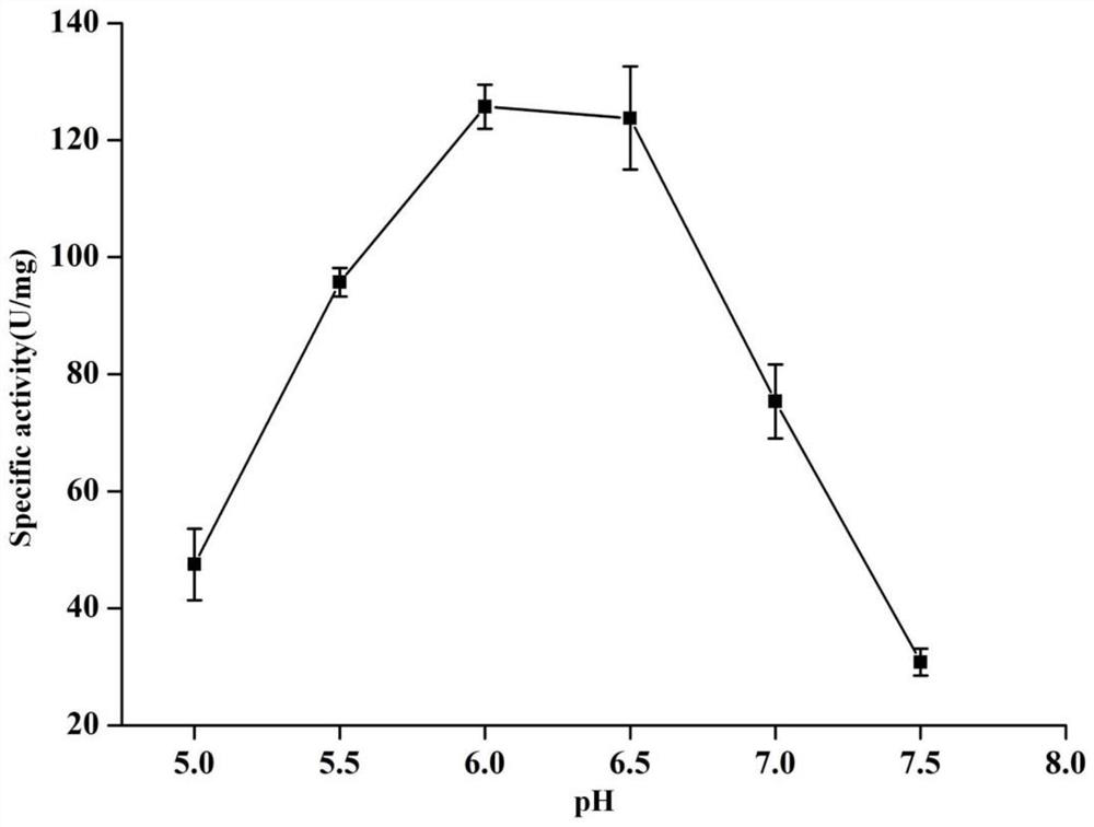 A kind of method that utilizes co-expression recombinant strain to transform and produce α-ketoglutarate