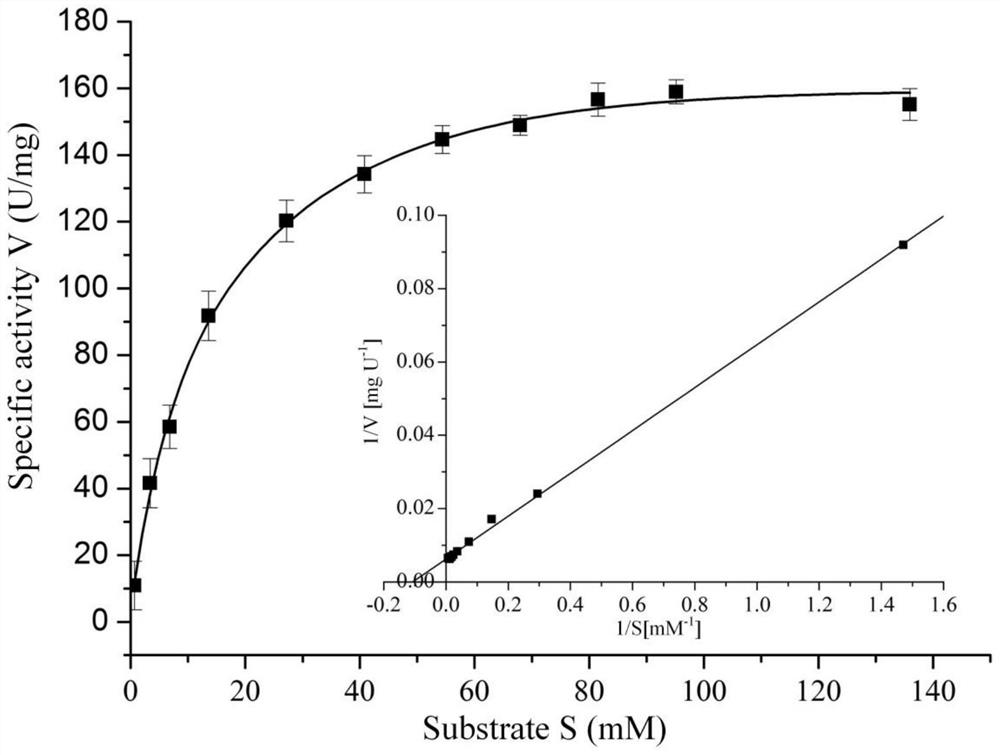 A kind of method that utilizes co-expression recombinant strain to transform and produce α-ketoglutarate