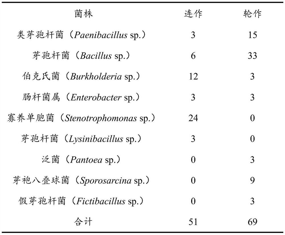 Acquisition method of biocontrol bacteria for preventing and treating root diseases of continuous cropping plants