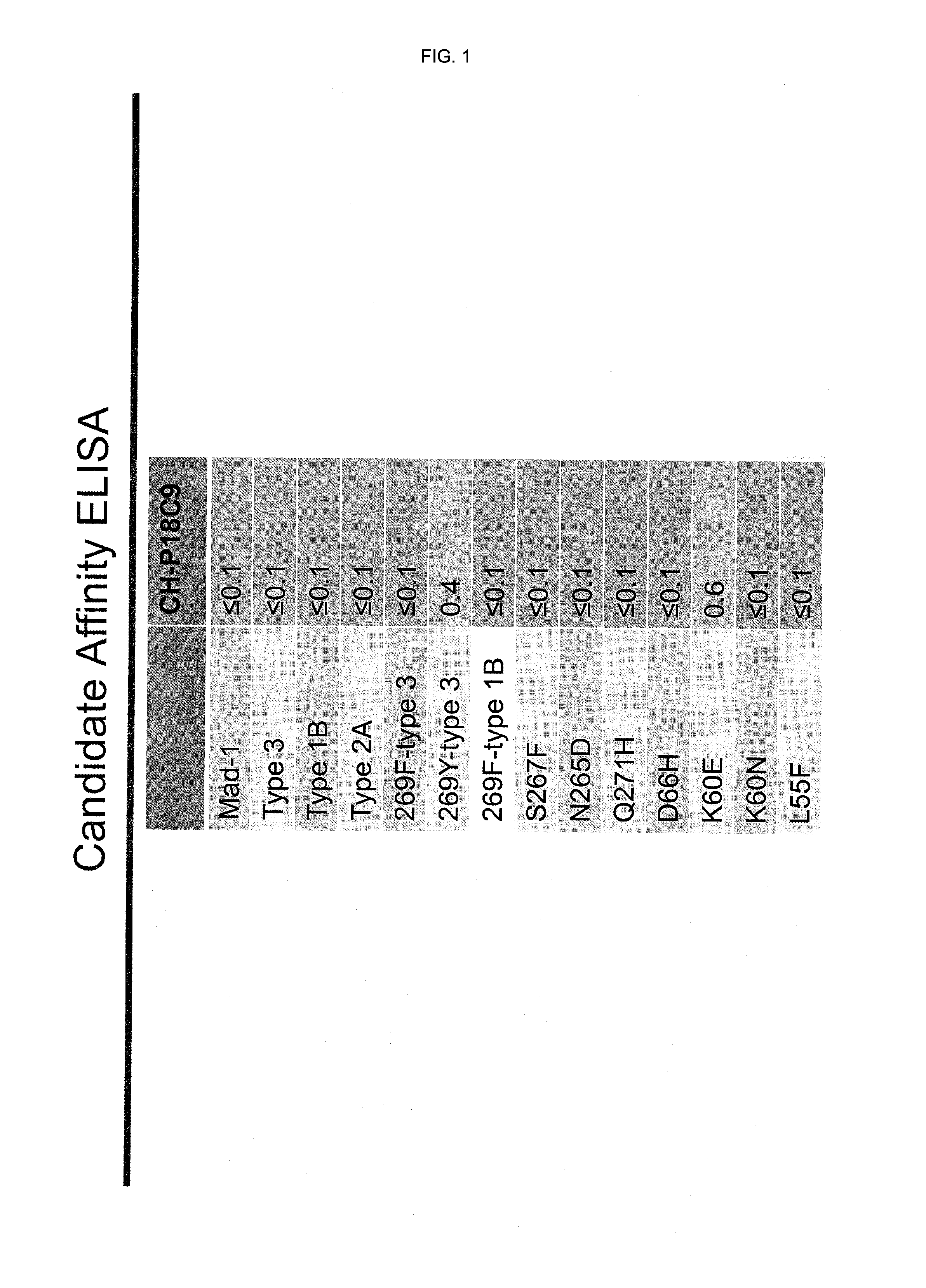 JCV neutralizing antibodies