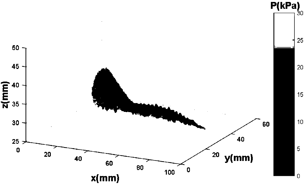 Size and surface pressure measuring method and size and surface pressure measuring device based on pressure sensitive paint and light field camera