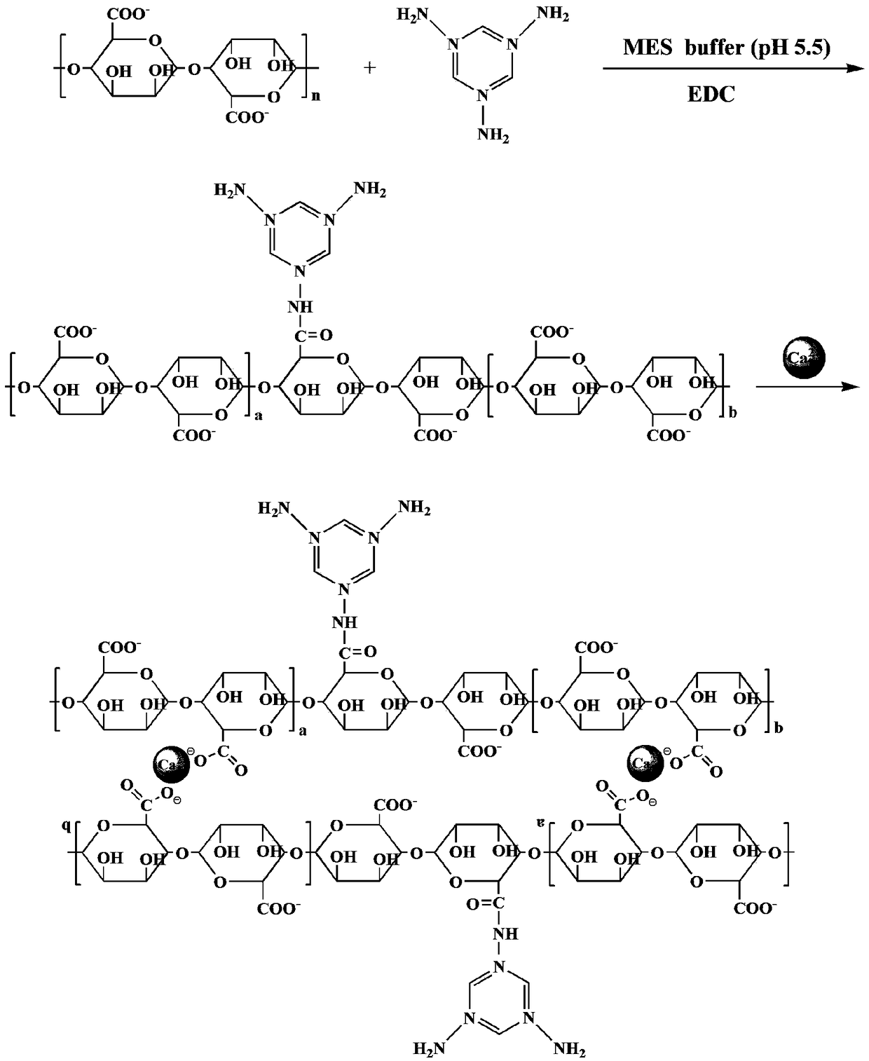 Cadmium ion adsorbent and preparation method thereof