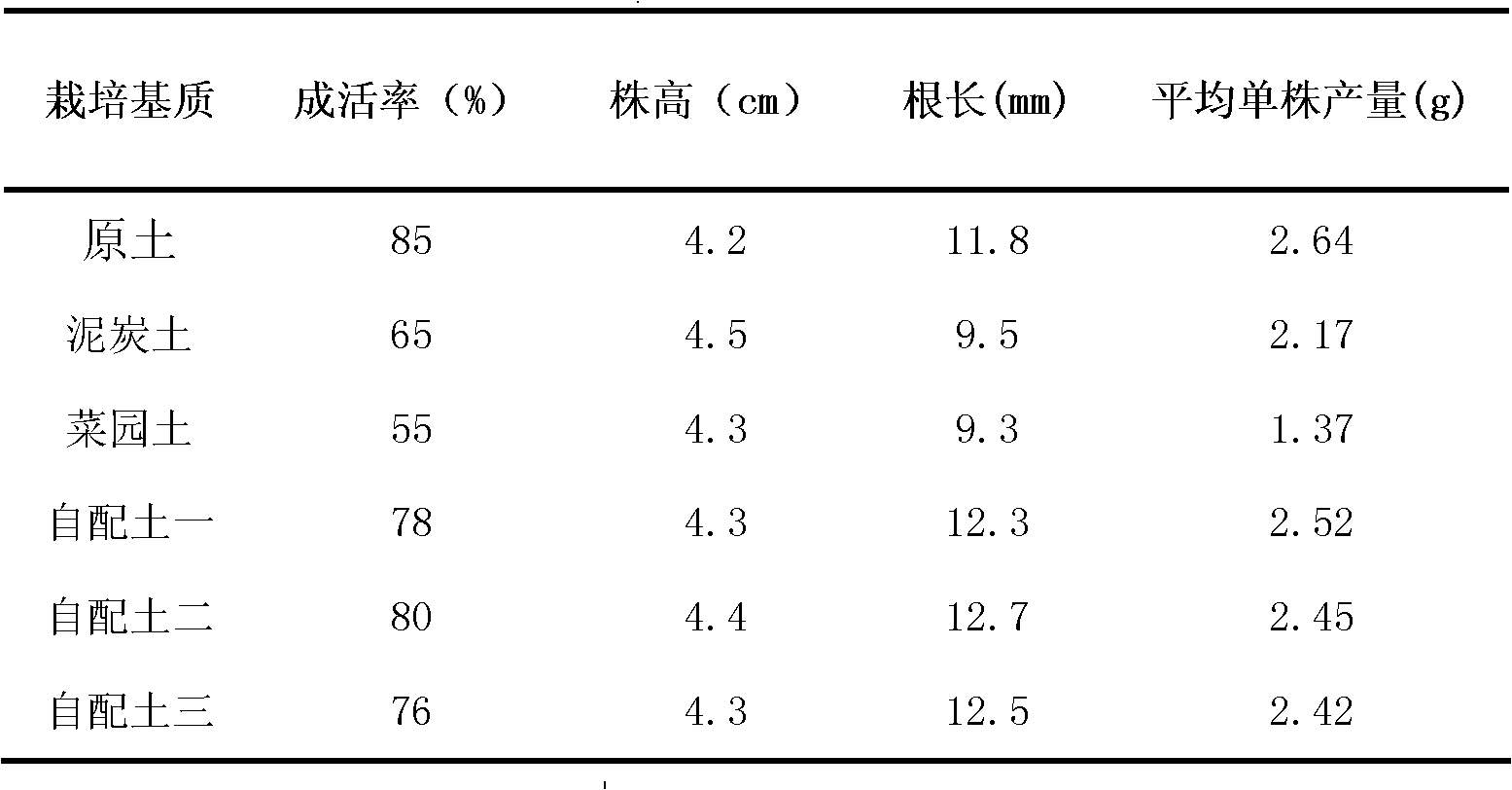 Gentiana loureiri introduction and cultivation method and substrate