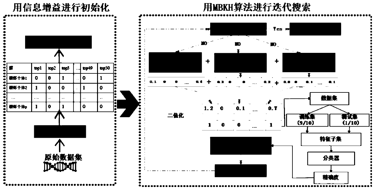 Effective hybrid feature selection method based on improved binary krill swarm algorithm and information gain algorithm