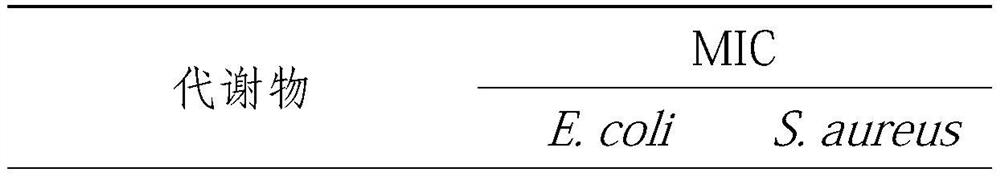 Composition and antibacterial application thereof