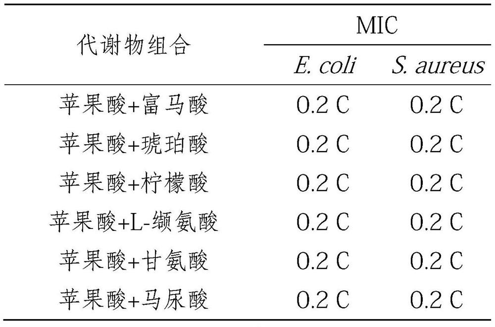 Composition and antibacterial application thereof