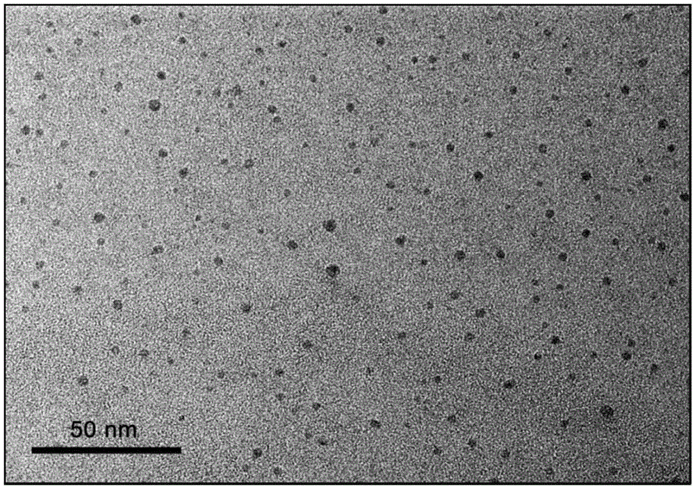 Small-sized black phosphorus flakes and preparation method thereof