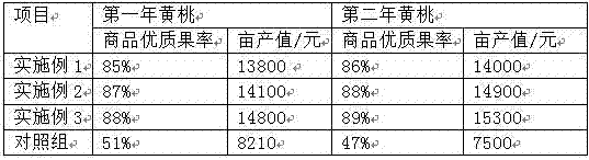 Planting method capable of increasing yellow peach commercial fruit rate