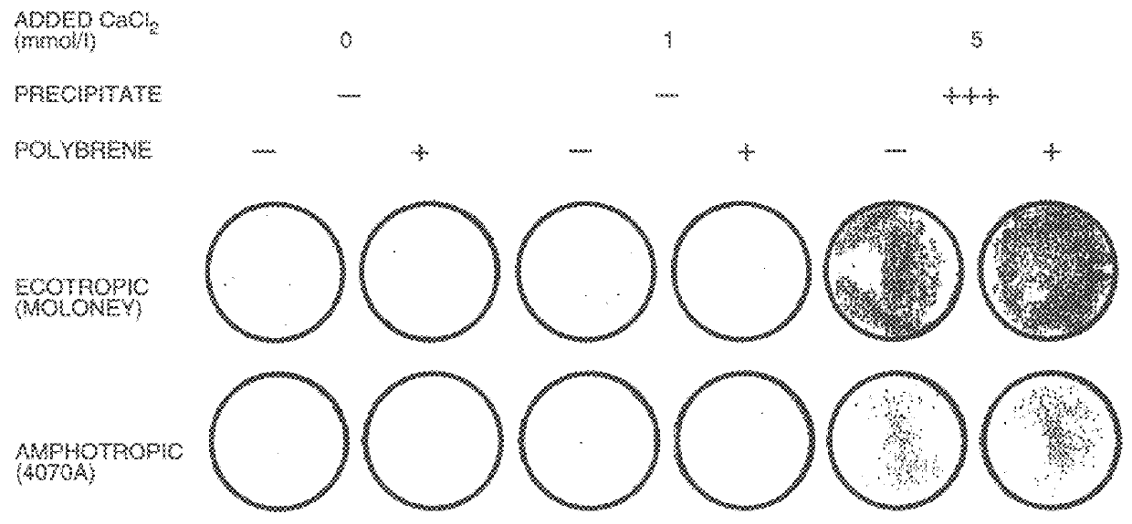 Delivery of nucleic acid