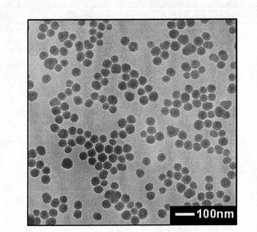 SiO2 nano-particle taking positive electrical polyelectrolyte as template and doped with negative electricity dye and preparation method thereof