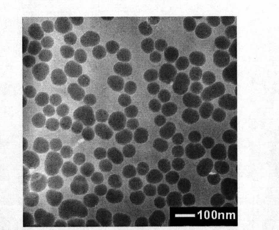 SiO2 nano-particle taking positive electrical polyelectrolyte as template and doped with negative electricity dye and preparation method thereof