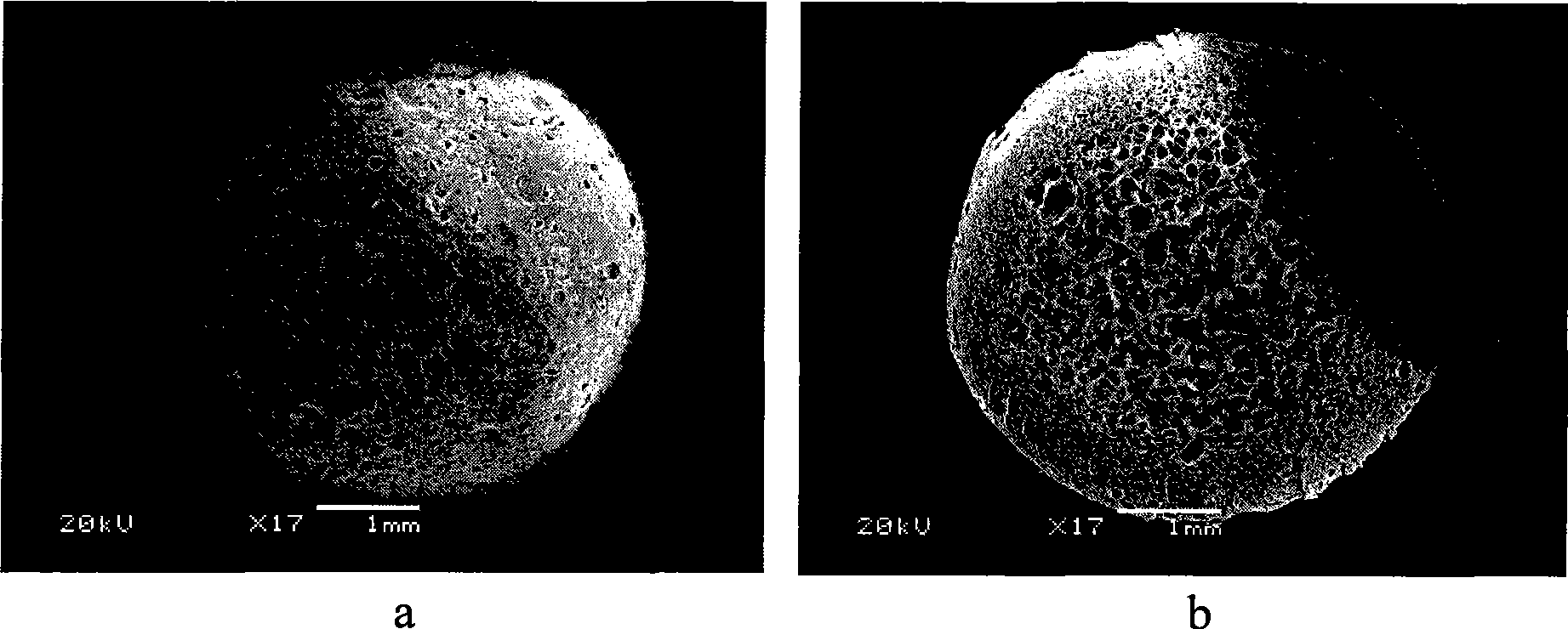 Macroreticular polyvinyl alcohol bead carrier and preparation thereof