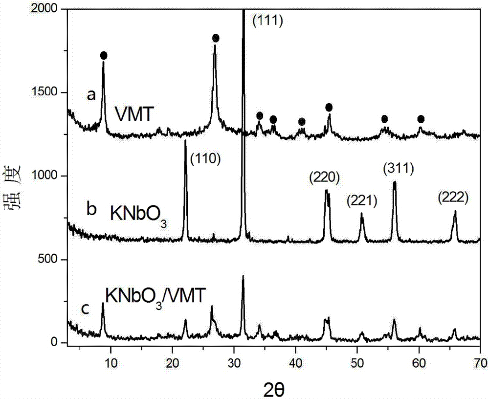 A kind of in-situ growth potassium niobate material on the surface of vermiculite and its preparation method