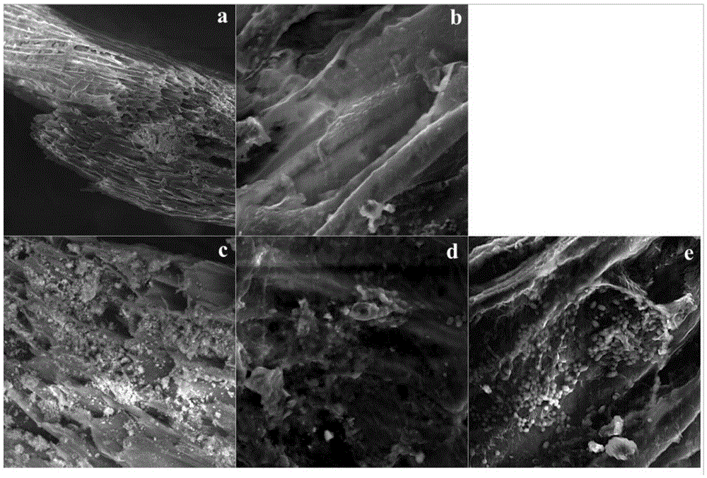 Microbial immobilization loofah sponge as well as preparation method and application thereof