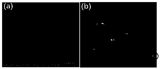 Preparation method for high-flux solvent-resistant nanometer mixed nanofiltration membrane based on natural materials