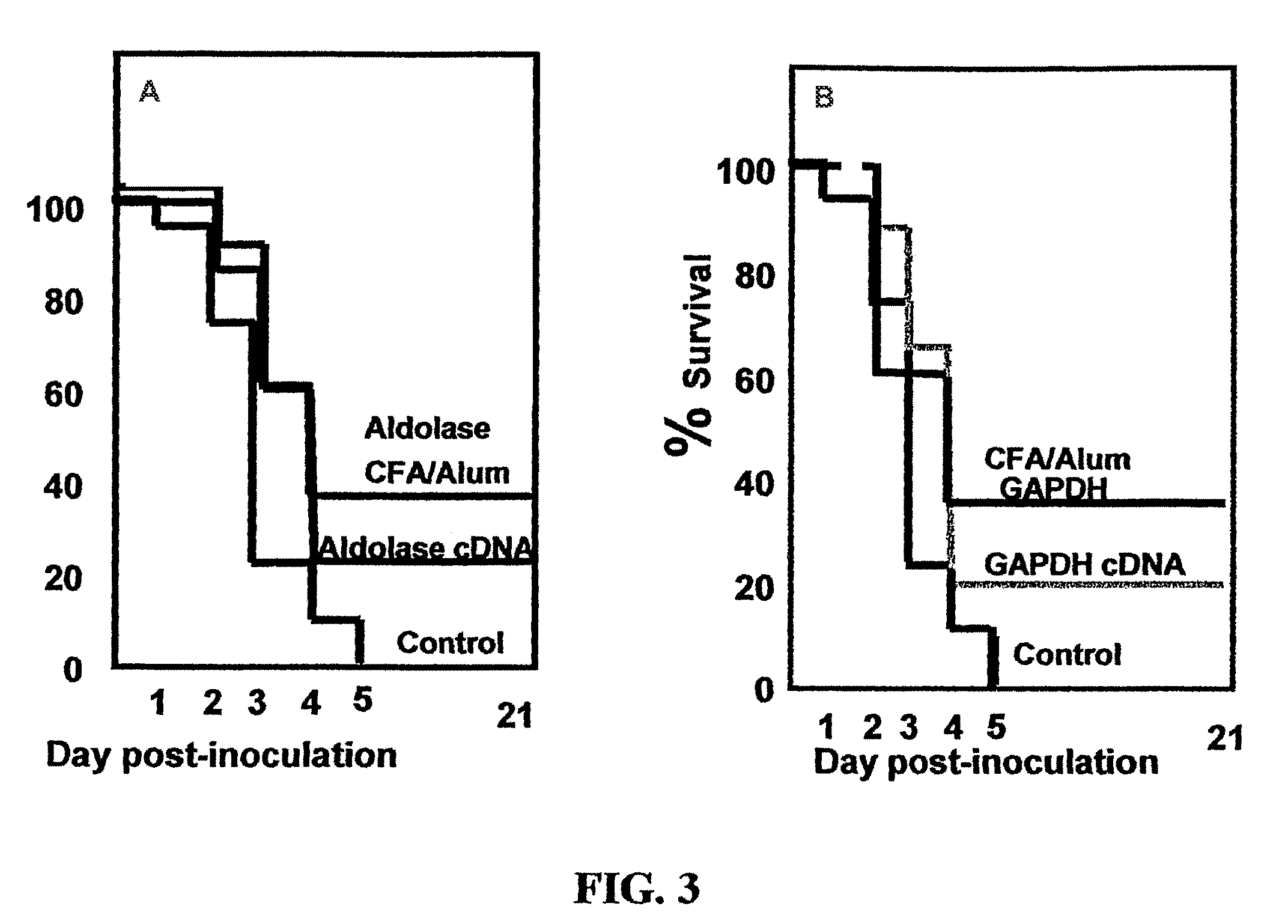 Protein-based Streptococcus pneumoniae vaccines