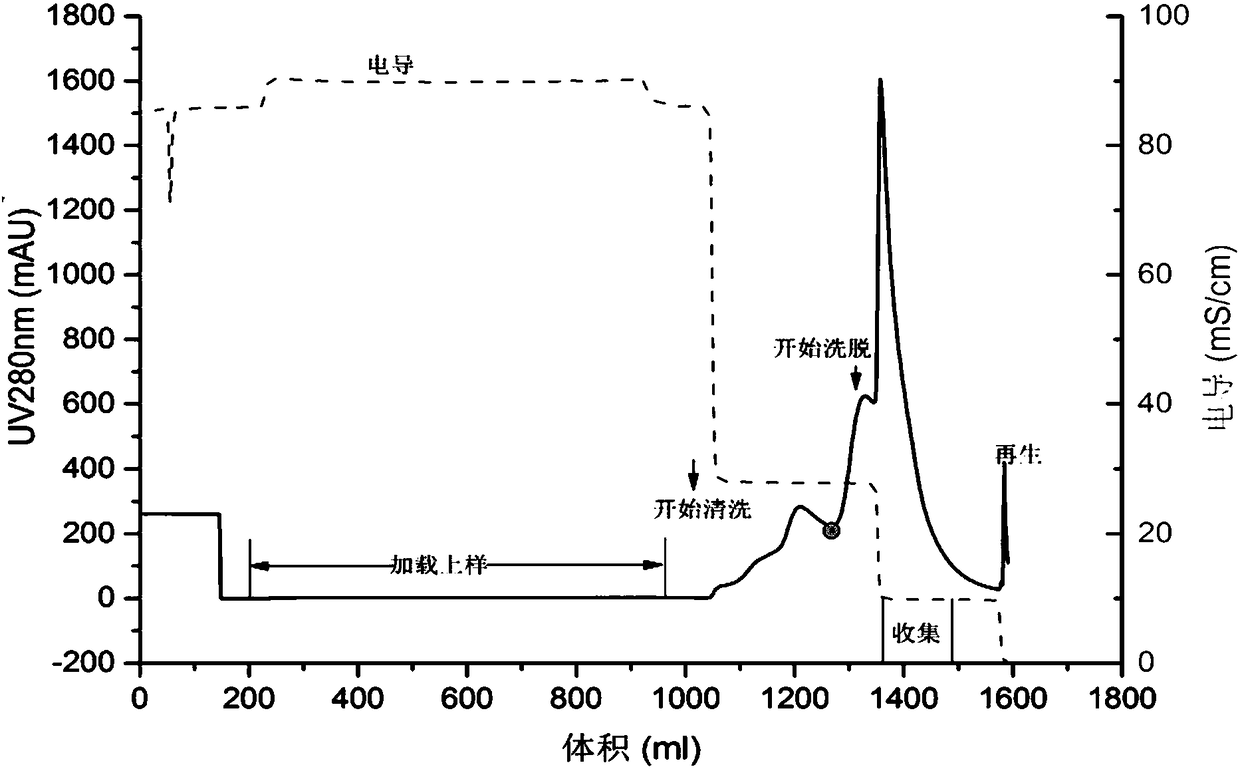 Method for preparing high-purity rhNGF